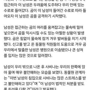 만취한채 곰 우리 들어간 남자의 최후 