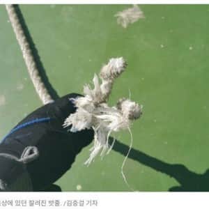 다시봐도 소름끼치는 아파트 밧줄 절단 사건 