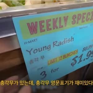 총각무를 영어로 쓰면..