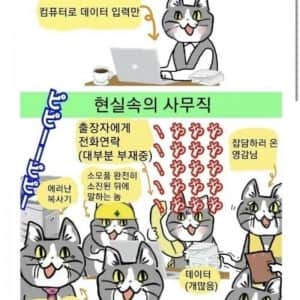 중소기업 사무직의 현실 