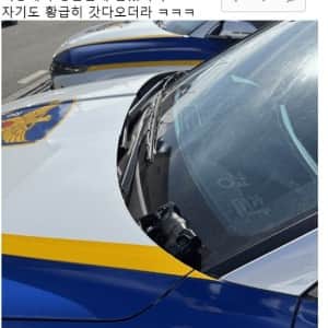 진짜 어질어질한 경찰 근황