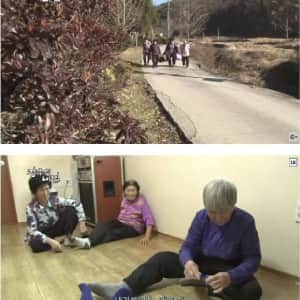겨울이 오면 짐싸들고 마을회관으로 이사가는 할머니들