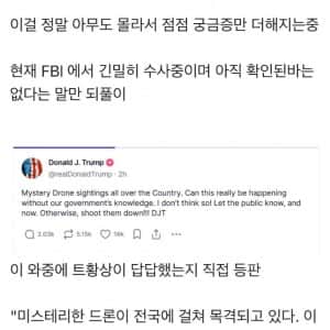 현재 논란중이라는 미국의 UFO 형체