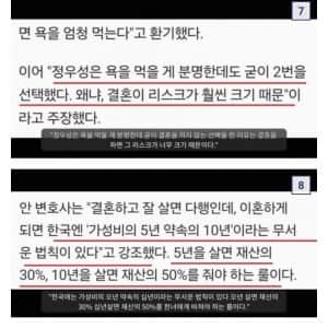 어느 변호사가 말하는 정우성론 해석