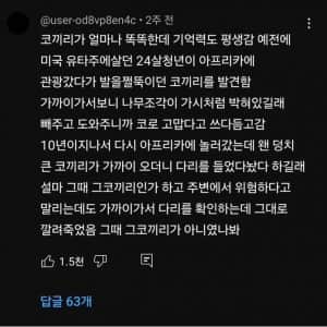 코끼리의 놀라운 지능 수준