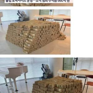 550억 현찰 5만원권 실제크기