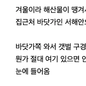 서해 놀러갔다가 실제 총 발견한 썰