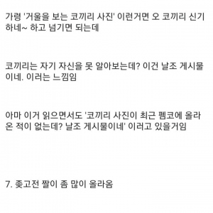 디씨인의 펨코 일주일 눈팅 후기