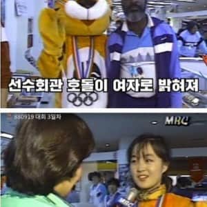 88올림픽 호돌이의 비밀