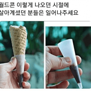 요즘 애기들은 모르는 월드콘의 비밀