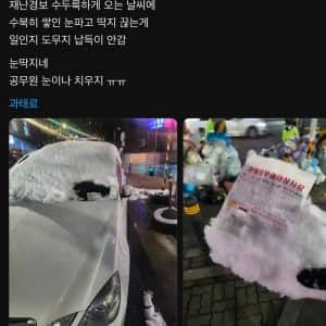 폭설에 과태료 물어서 빡친 차주 