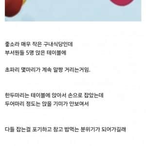 방금 구내식당에서 ㅂㅅ으로 찍힌거 같다... 