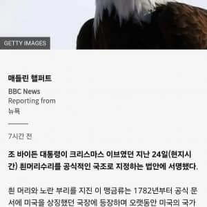 흰머리 수리 250년 만에 미국 국조로 공식 지정