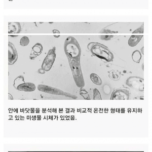 암염 안에 갇혀있는 2억5천만년전의 바닷물