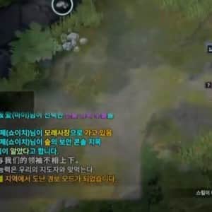 팀원을 극찬하는 어느 중국인 