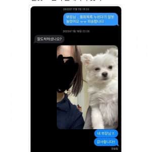 술 기운에 부장님께 문자 보냈다 