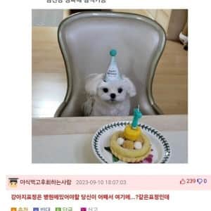 수의사 사적인 장점