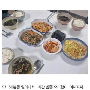 어머니 생신상 차려드린 커뮤 유저
