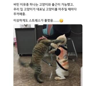 최악의 직장에서 5년을 버틸 수 있었던 이유 