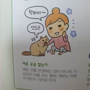 고양이가 깨문 곳을 핥는 이유 
