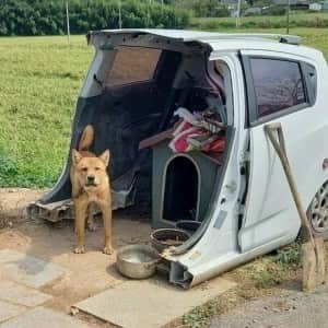 차박 동호회 바로 강퇴당하는 짤