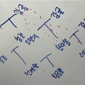 막장드라마 뺨 친다는 감귤 족보