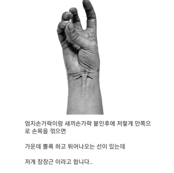 IMG_3429.jpeg 근육으로 알아보는 진화정도 테스트.jpg