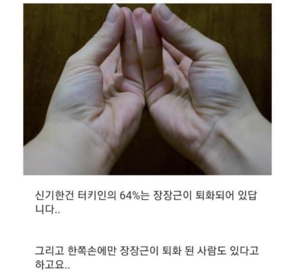 IMG_3431.jpeg 근육으로 알아보는 진화정도 테스트.jpg