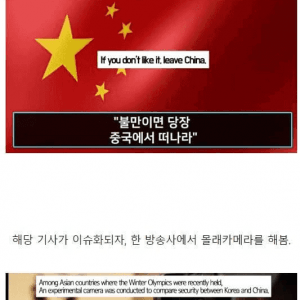한국과 중국의 시민의식 차이 실험
