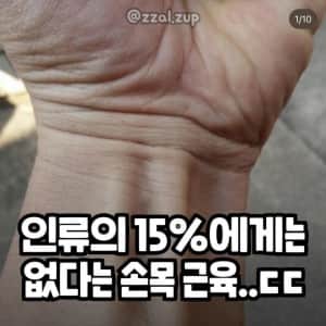 IMG_3427.jpeg 근육으로 알아보는 진화정도 테스트.jpg