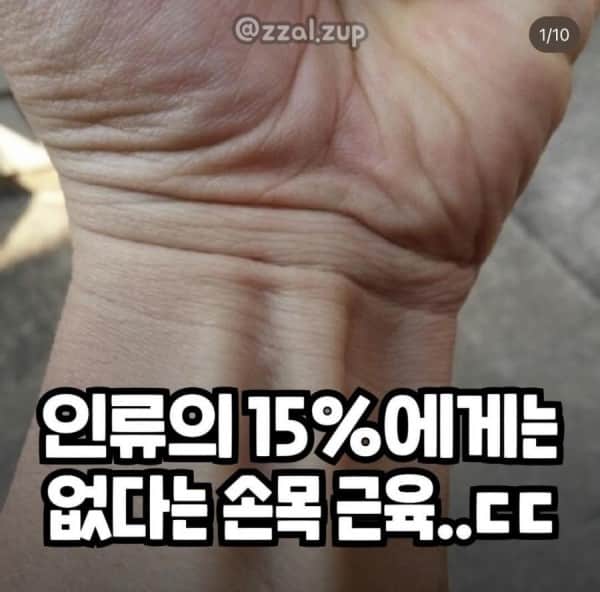 IMG_3427.jpeg 근육으로 알아보는 진화정도 테스트.jpg