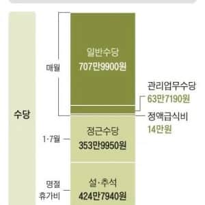국회의원의 연봉, 월급, 연금, 명절 휴가비 실수령액