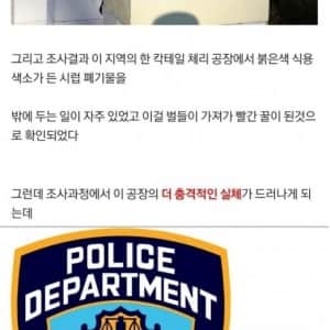 미국 레드 허니 사건