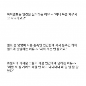판타지 세계관의 인간은 개다