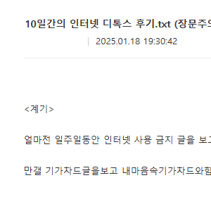 한 디시인의 10일간의 인터넷 디톡스 후기