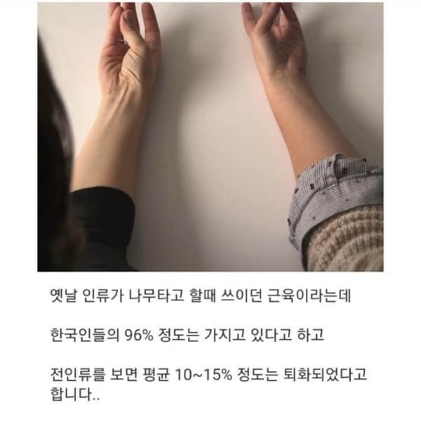 IMG_3430.jpeg 근육으로 알아보는 진화정도 테스트.jpg