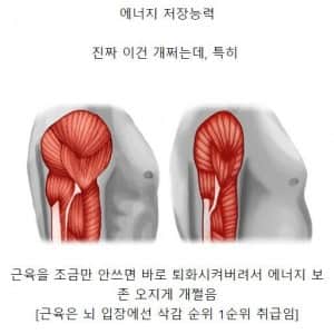 인간의 S급 능력 중 하나 