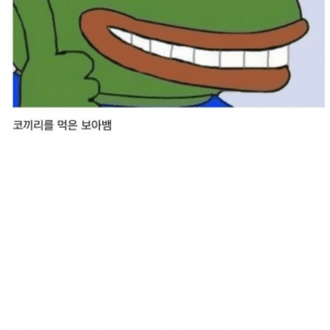 어린 왕자 작가가 코끼리 보아뱀을 넣고 후회한 이유