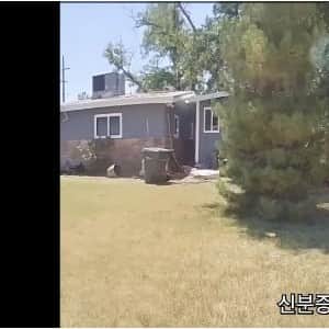문화차이인지 뭔지 싫어하는 미국인 유독 많아 보이는거
