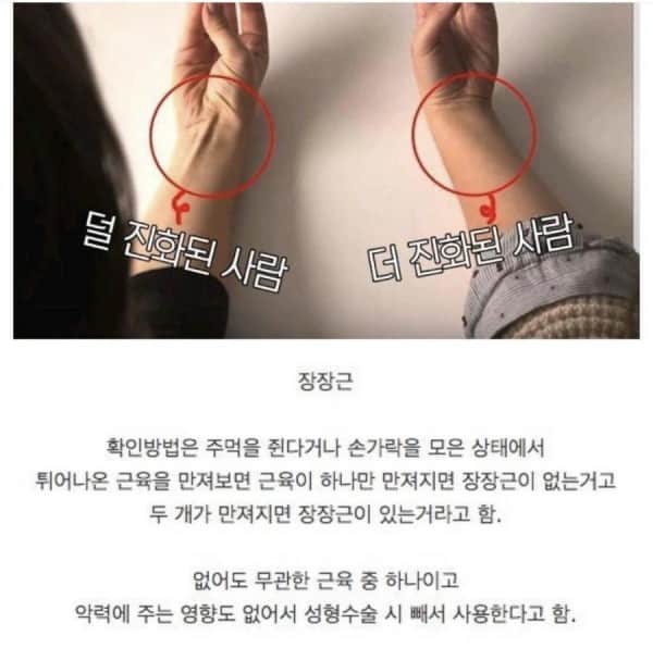 IMG_3428.jpeg 근육으로 알아보는 진화정도 테스트.jpg