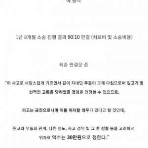 어이없는 교통사고 판결문 