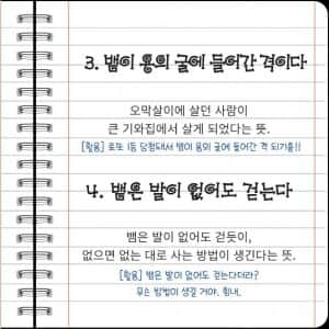 국립민속박물관에서 알려준 배앰 관련 속담