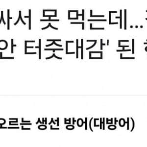 요즘 방어가 많이 보이는 이유 