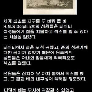 ㅅㅅ에 굶주린 선원들이 한 짓 