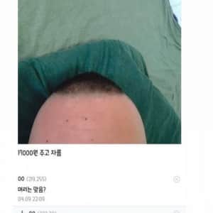 스포츠머리 평가 해달라는 디시인