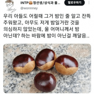 밤인 줄 알고 먹으면 큰일나는 밤같이 생긴 열매 