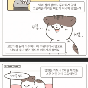 가게 주방에서 구조된 고양이 사연