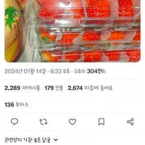 한국산 딸기를 맛 본 시리아인 반응 