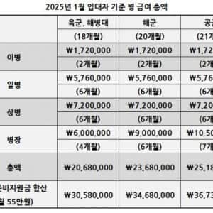 올해 1월 입대자 기준 병사가 받는 급여 총액