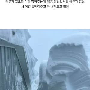 진짜 ㅈ된 현시점 지구 상황